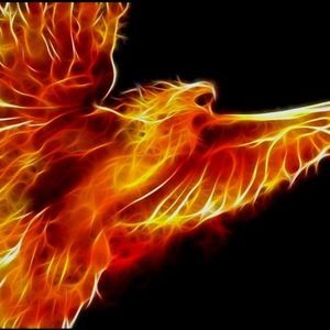 Meet your Posher, Ivaylo